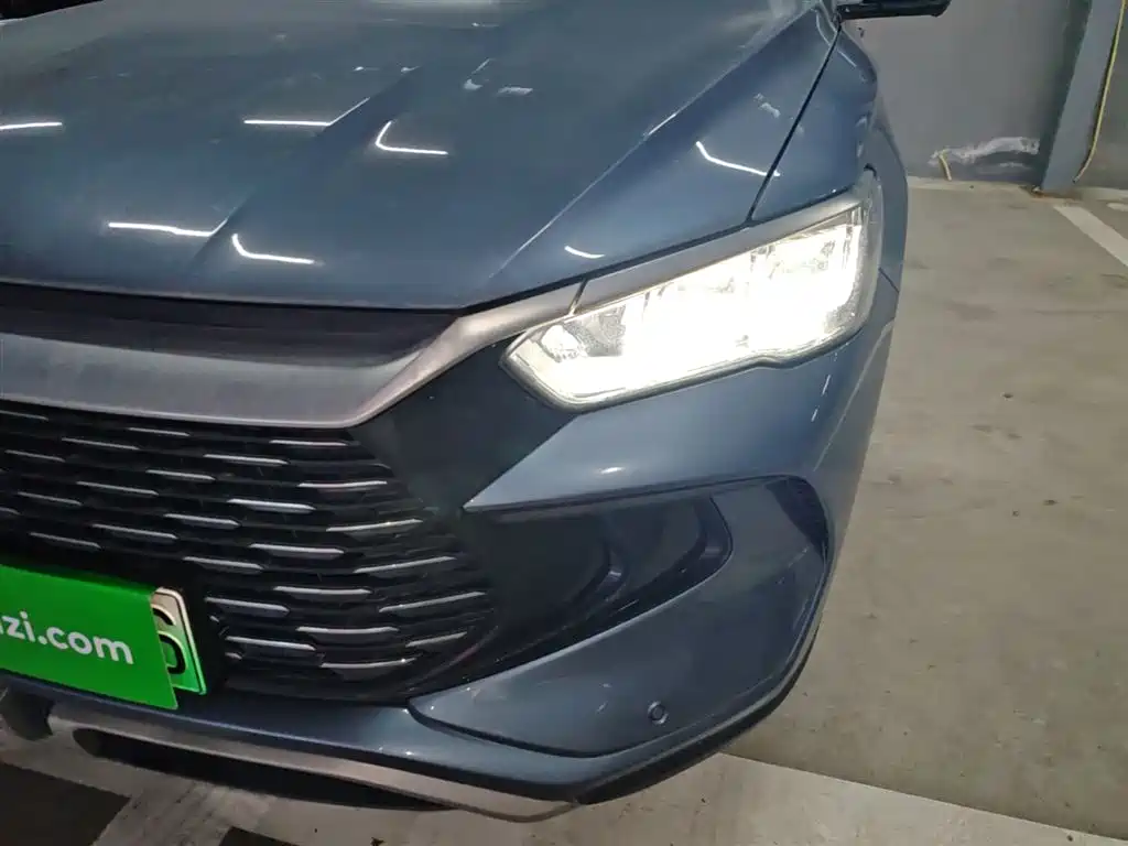 BYD Song Pro New Energy 2023 Champion Edition DM-i 71KM Surpassing Type фото 24