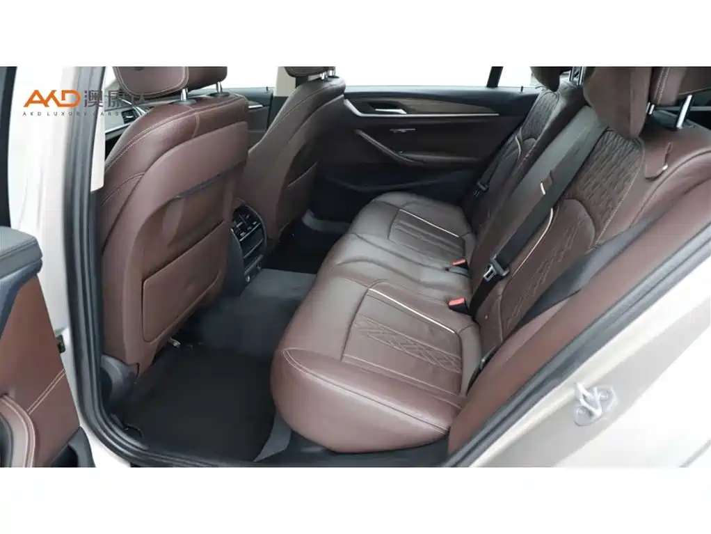 BMW 5 Series 2019 Facelift 530Li Leading Luxury Package фото 7