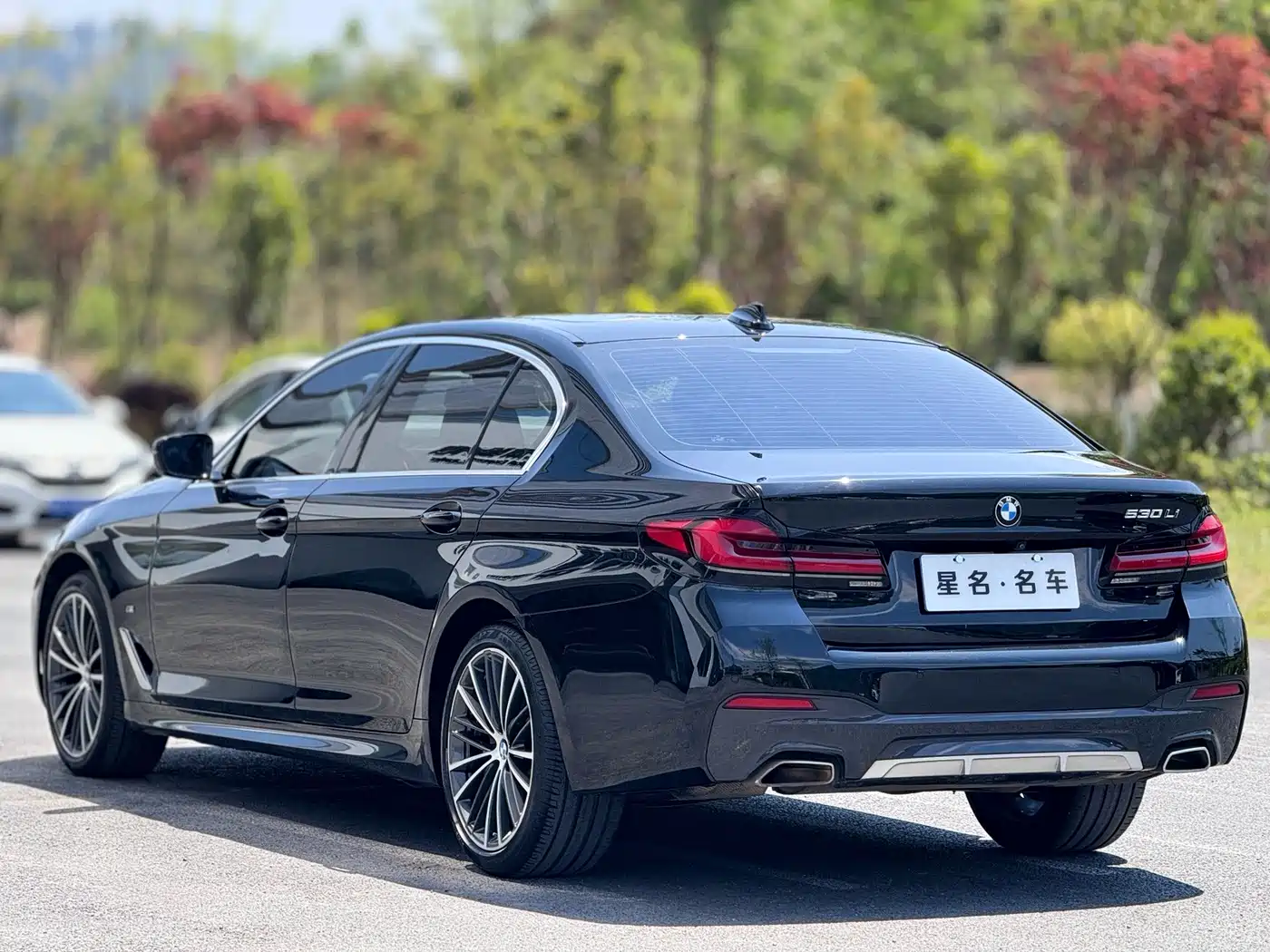BMW 5 Series 2021 530Li Leading M Sport Package фото 9