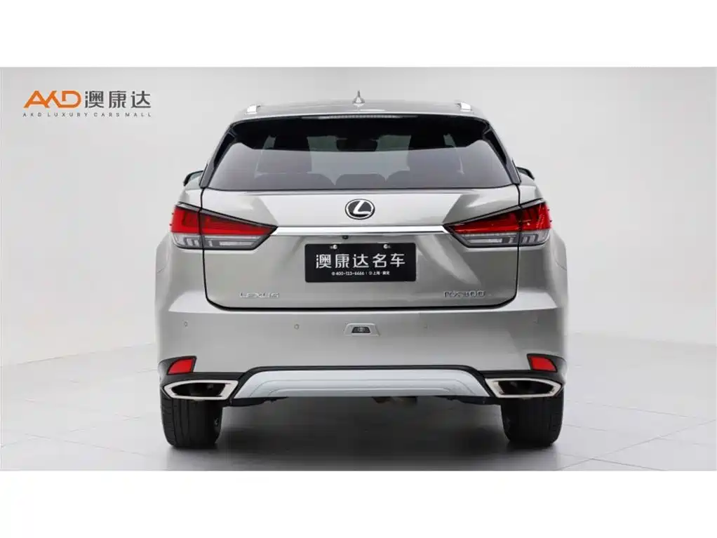 Lexus RX 2020 300 4WD Elegance Edition China VI фото 4