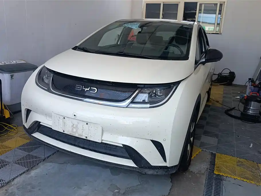 BYD Dolphin 2024 Glory Edition 420km Fashion Edition