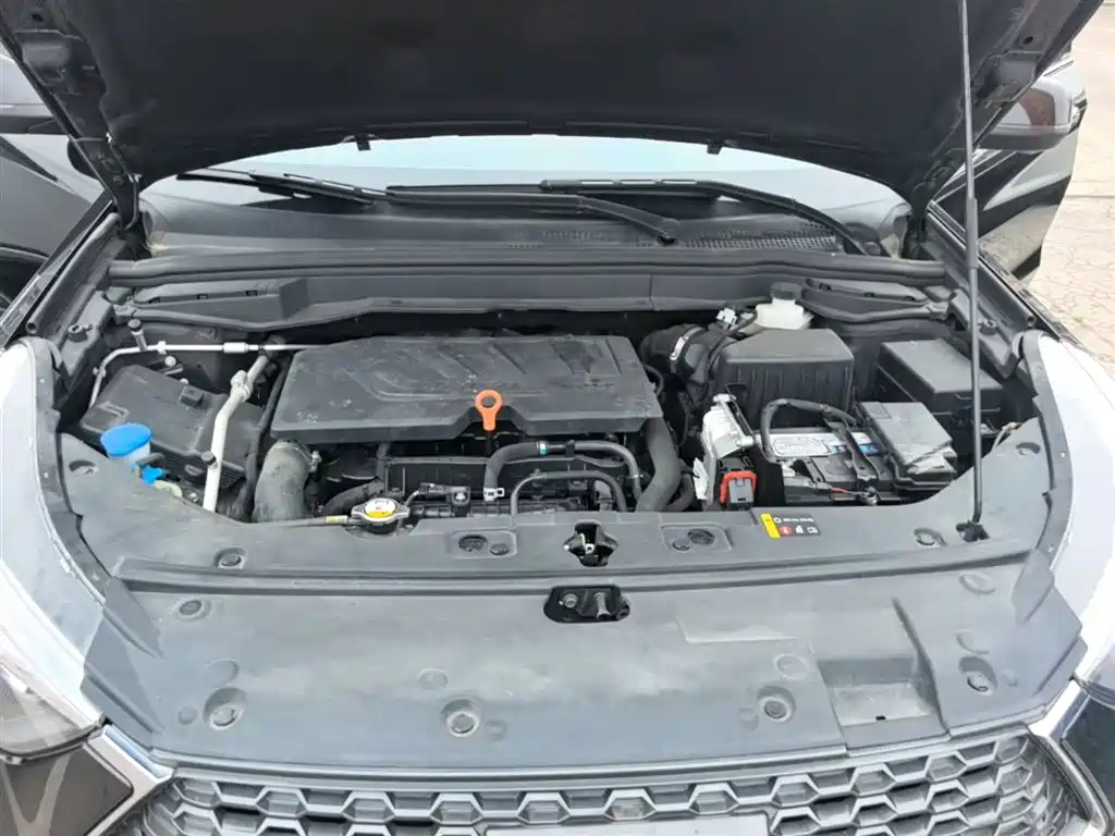 Haval H6 Coupe 2019 1.5T Auto 2WD Luxury Smart Edition China VI фото 20