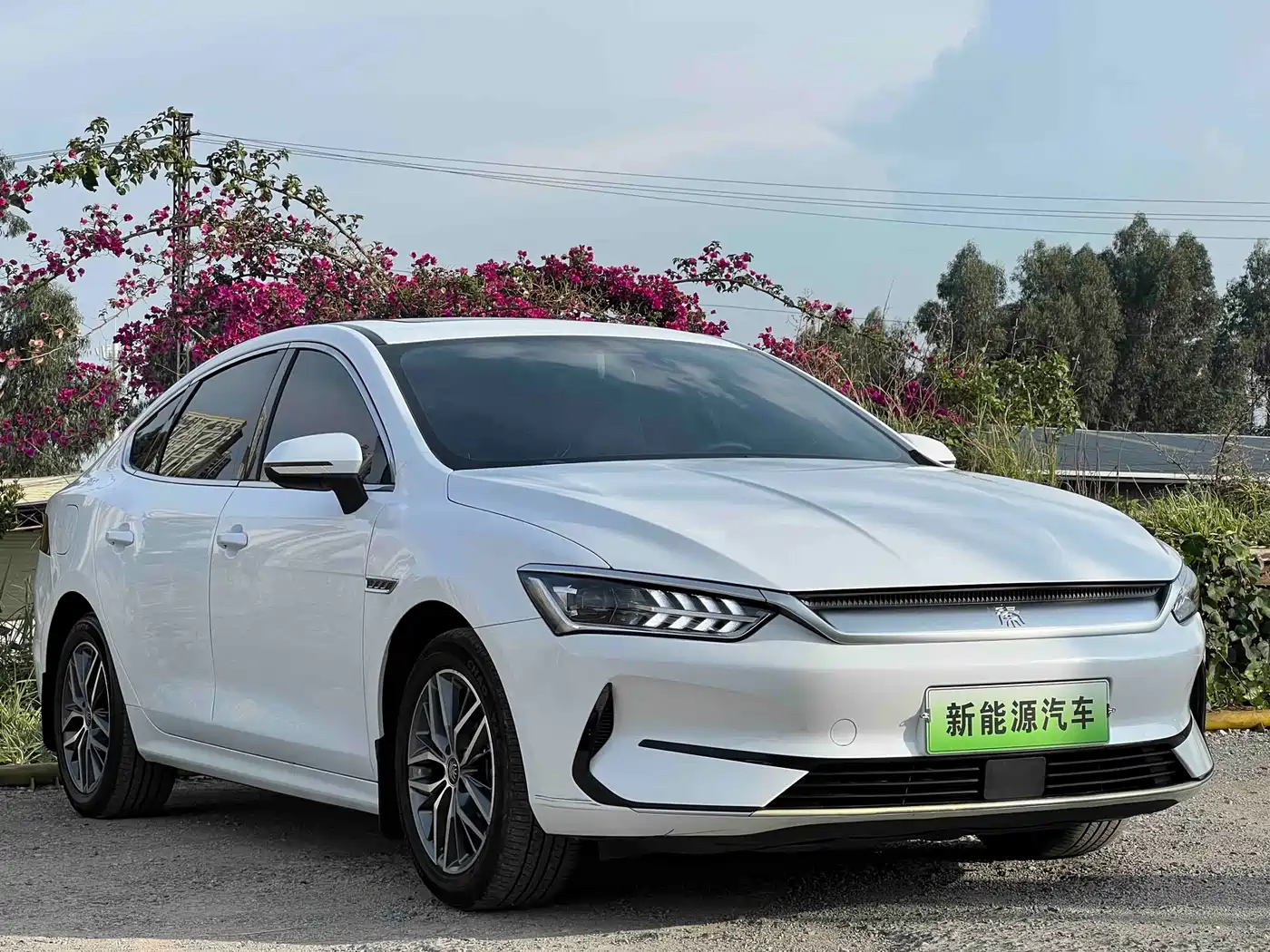 BYD Qin PLUS 2021 EV 500KM Luxury Model фото 3