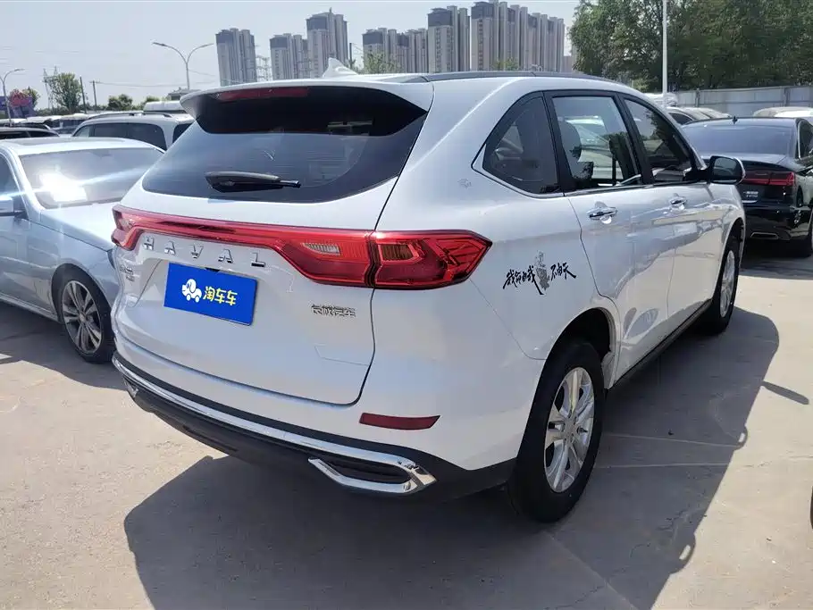 HAVAL M6