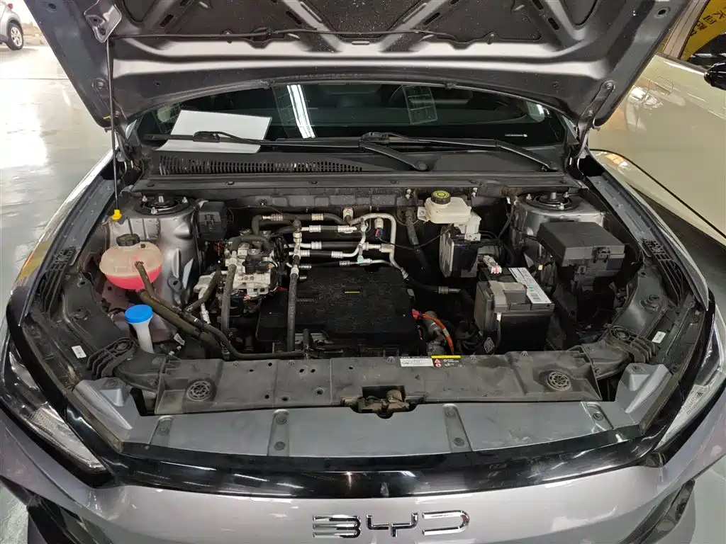 BYD E2