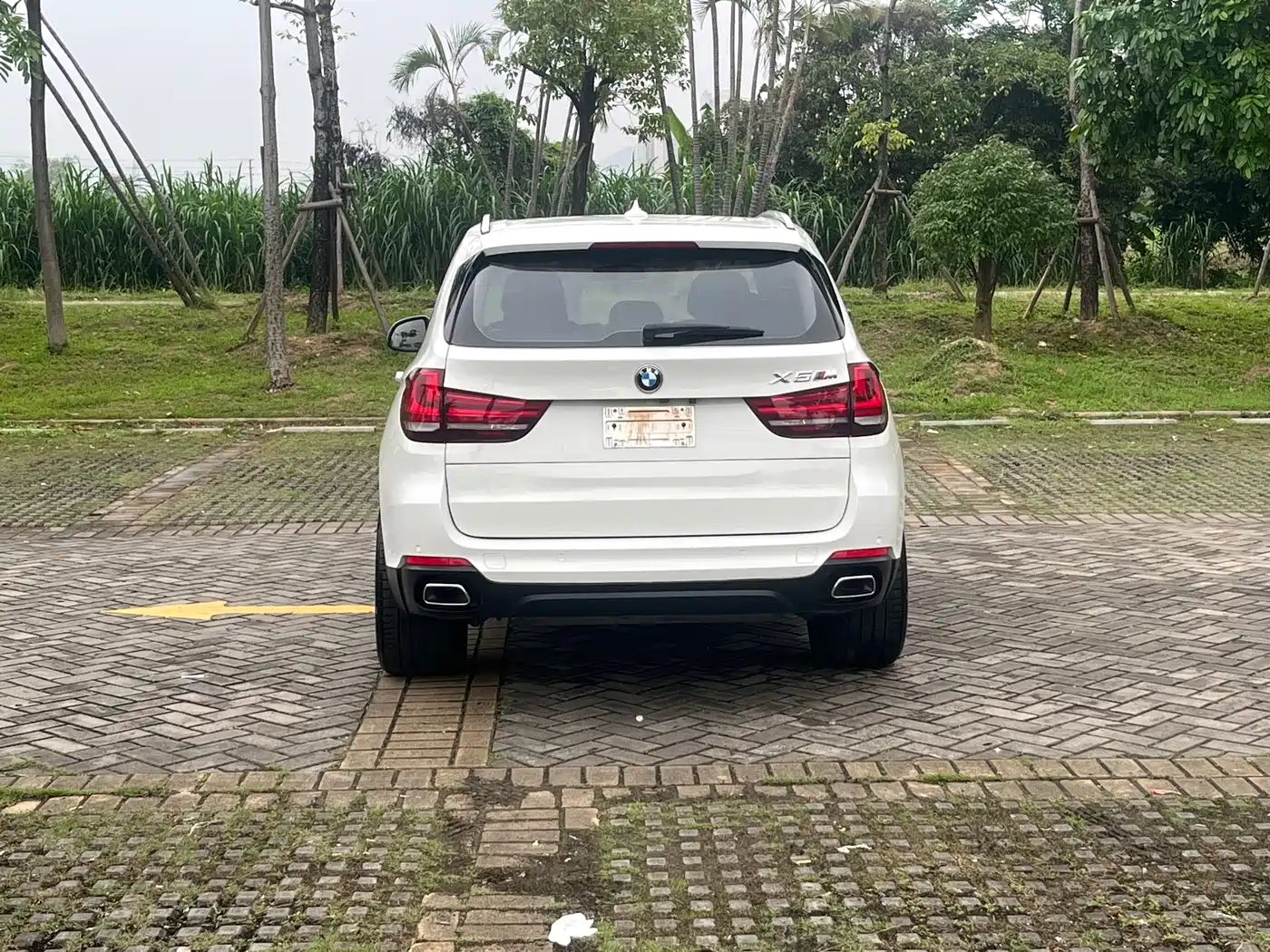 BMW X5 (Import) 2018 xDrive35i Elegant Model фото 6