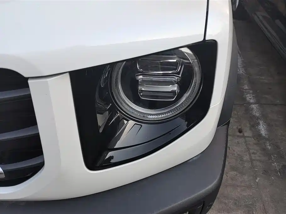 Haval Big Dog 2021 1.5T DCT 2WD Border Collie Edition фото 5