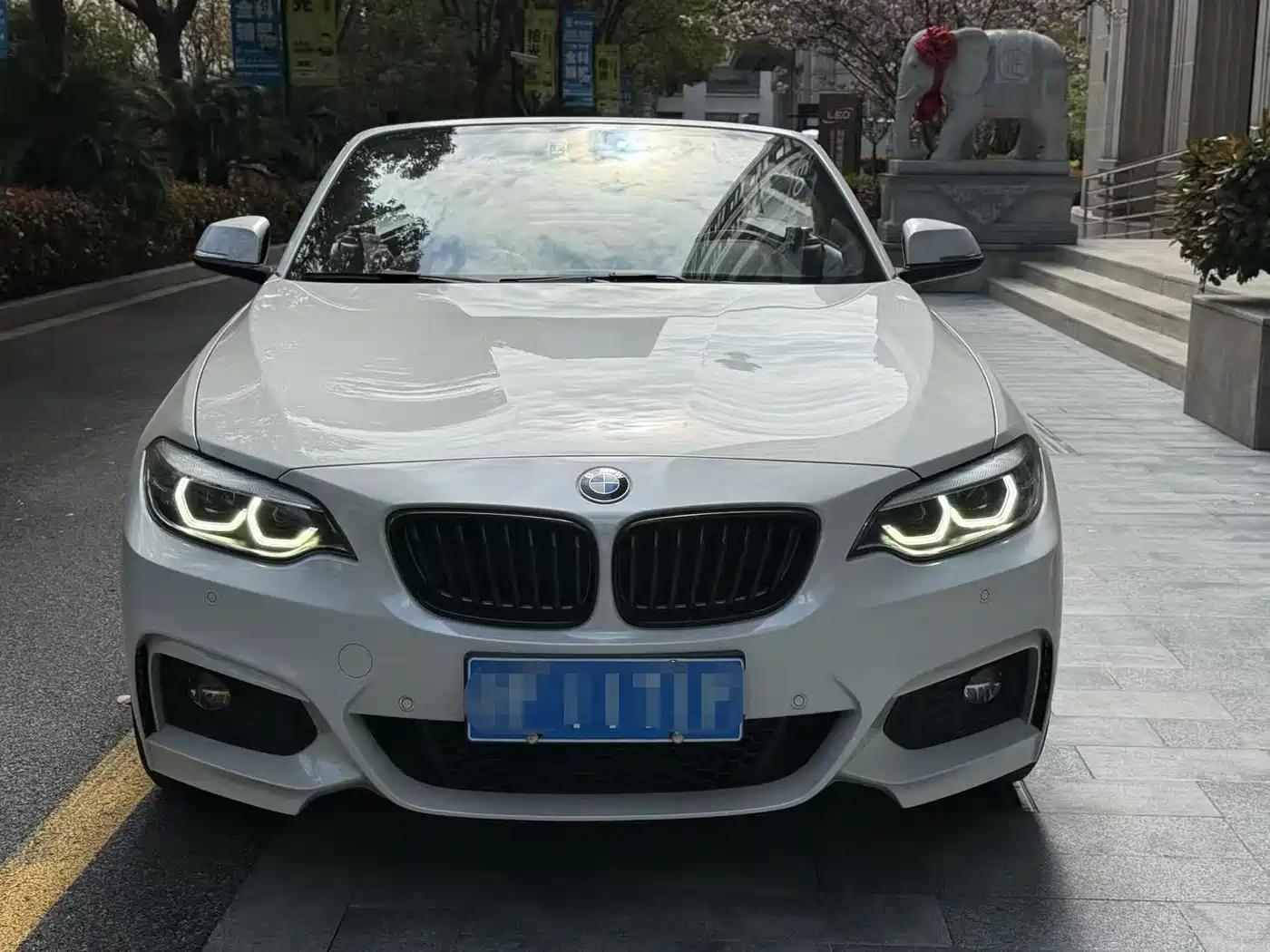 BMW 2 Series (Import) 2019 225i Convertible Coupe Sport Design Package фото 2