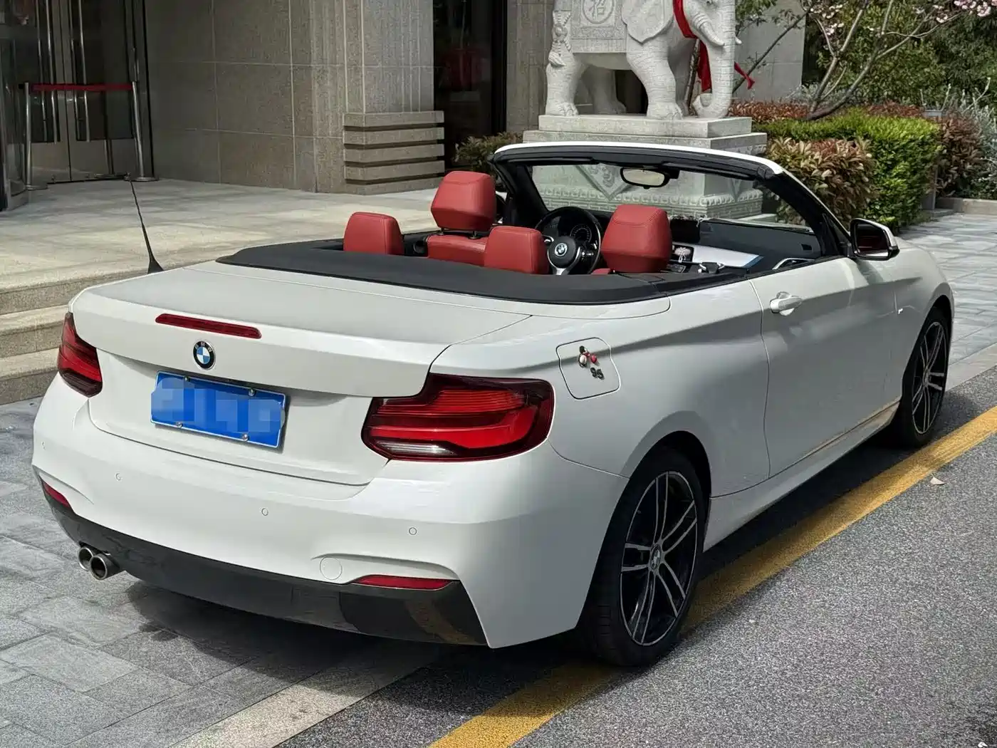BMW 2 Series (Import) 2019 225i Convertible Coupe Sport Design Package фото 3