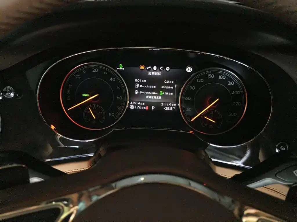 Bentley Bentayga Hybrid 2019 2019 3.0T PHEV