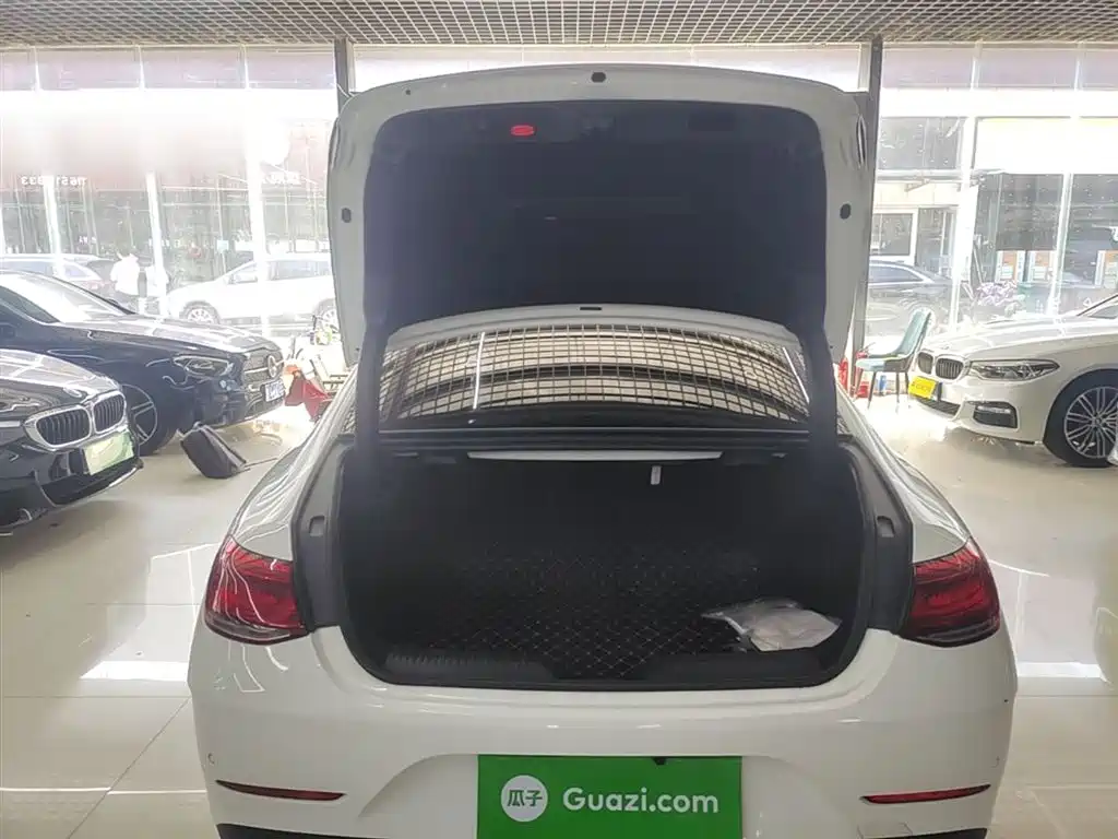 Mercedes-Benz CLS 2020 CLS 300 Dynamic фото 19