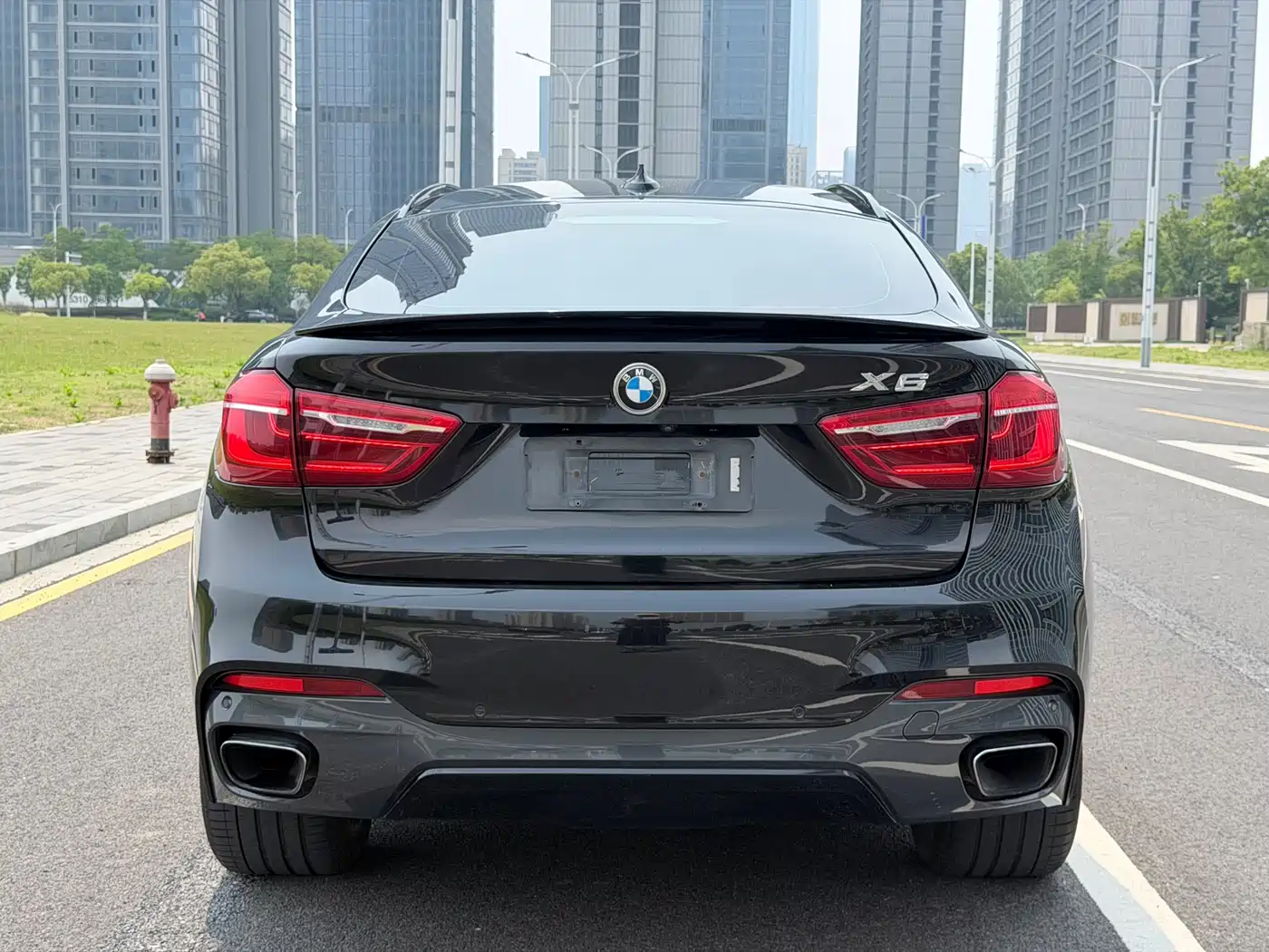 BMW X6 2018 xDrive35i Leading Model фото 11