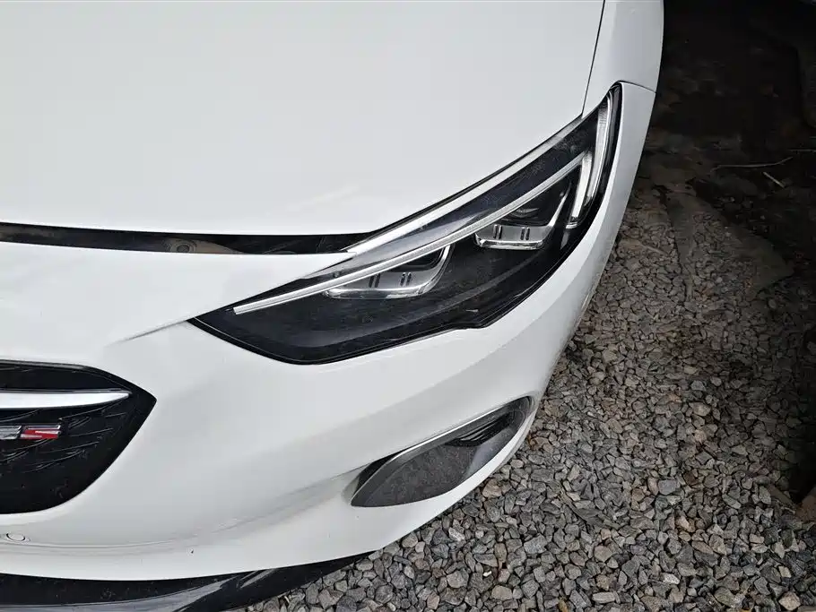 Buick Regal 2017 GS 28T Luxury Model фото 5