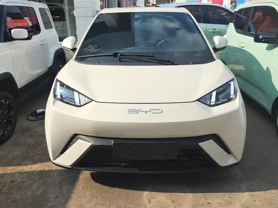 BYD Seagull 2023 Freedom Edition фото 2