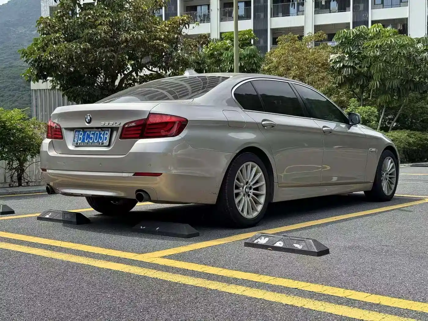 BMW 5 Series 2012 535Li Luxury фото 5