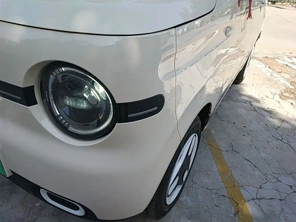 Geely Galaxy Panda 2025 Panda mini 210km Vitality Bear фото 24