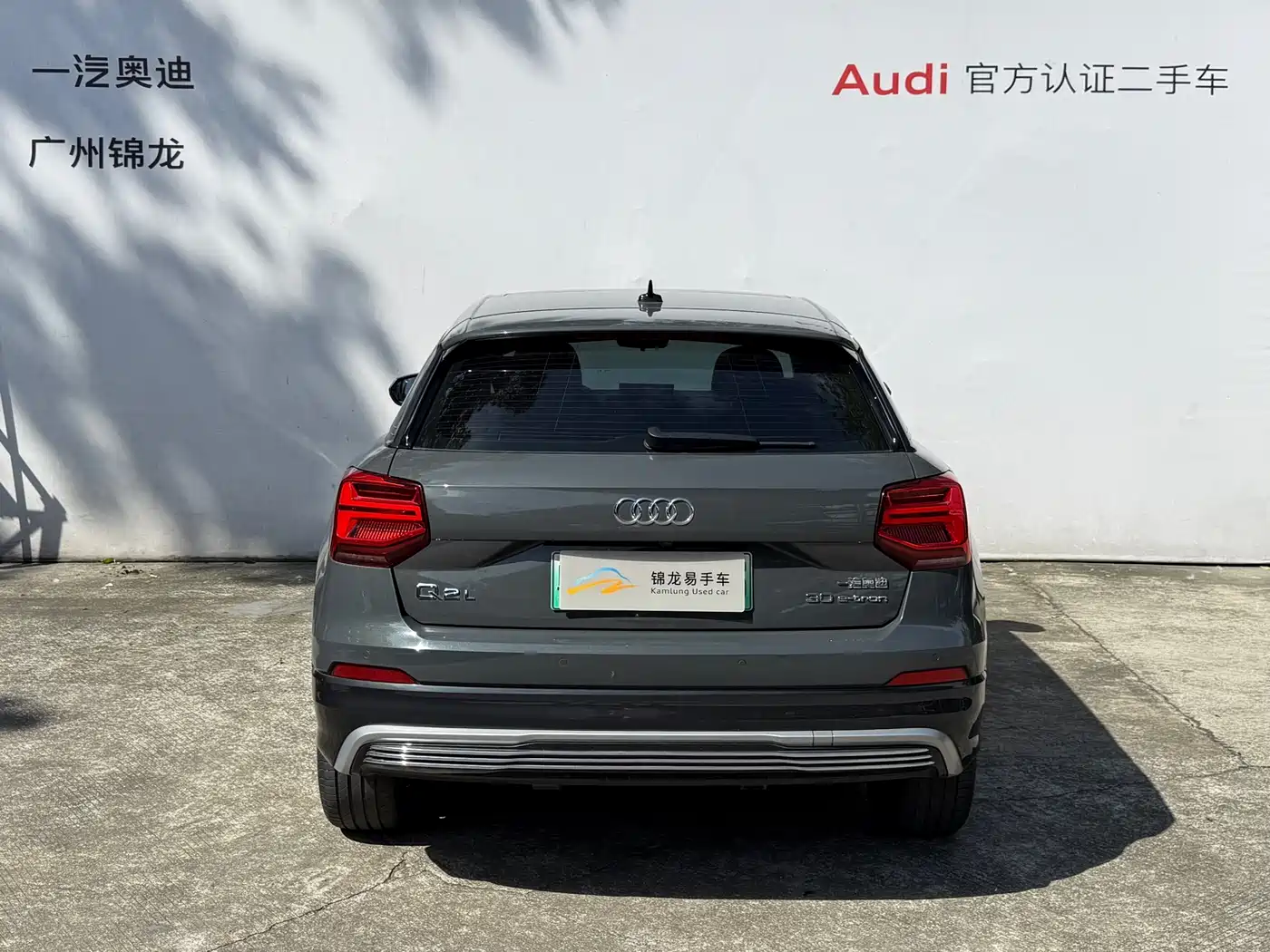 Audi Q2L e-tron 2019 Q2L e-tron Pure Electric Smart Enjoyment фото 4