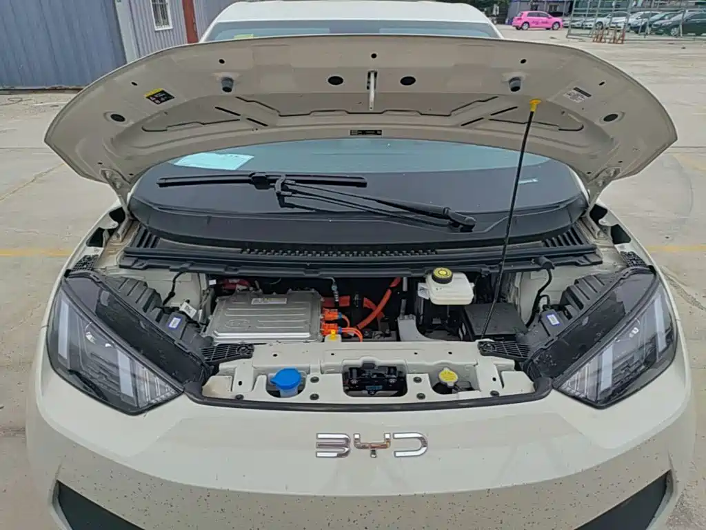 BYD Seagull 2026 2025 Smart Drive Edition 305km Vitality Version