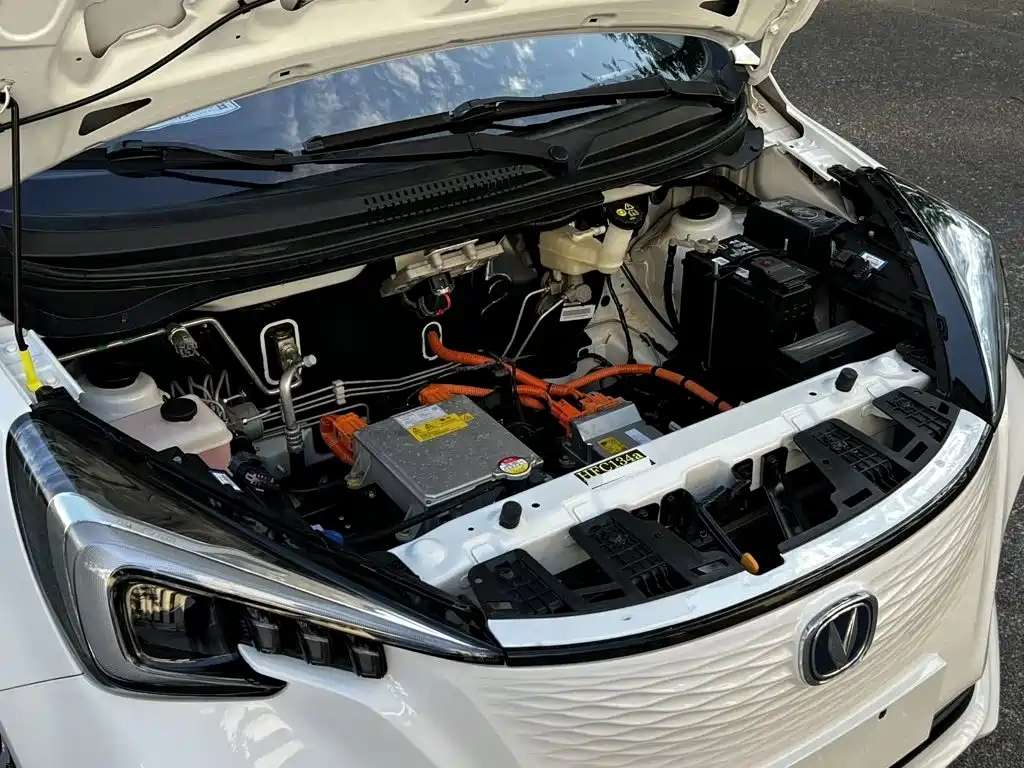 Changan Benben E-Star 2022 2020 Heartbeat Edition (NMC Battery)