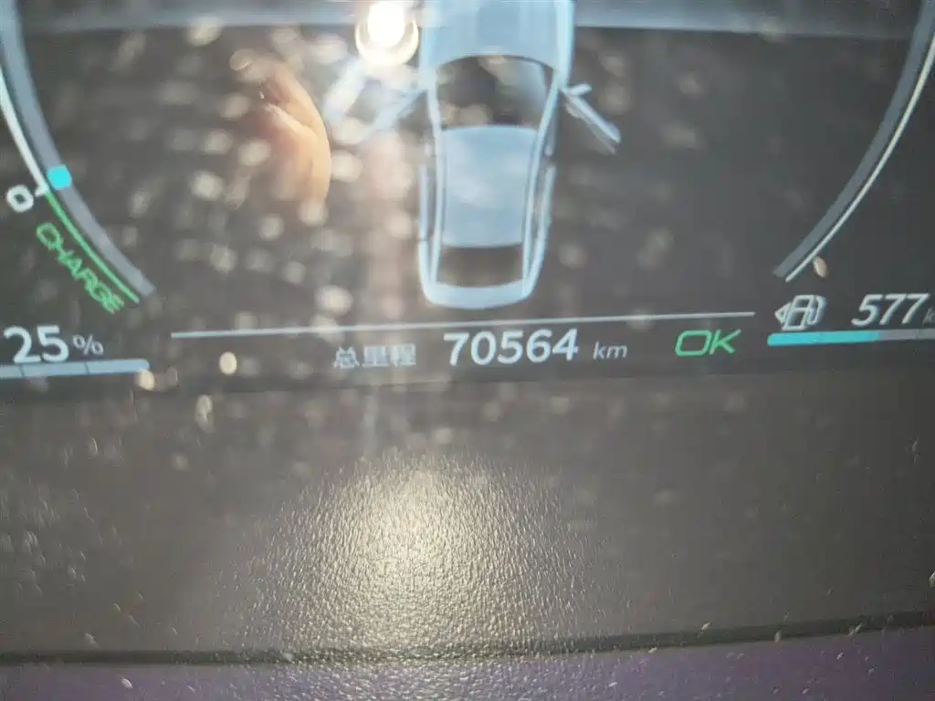 BYD Qin PLUS 2021 DM-i 55KM Flagship фото 9
