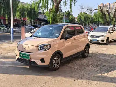 Leapmotor T03