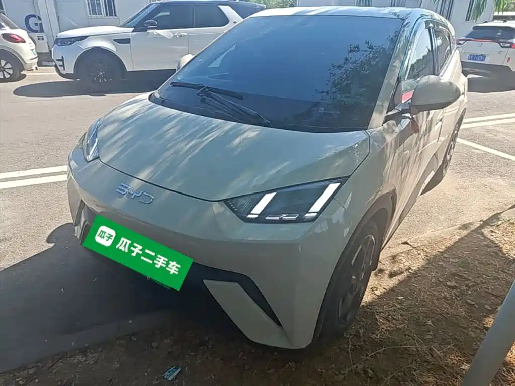 BYD Seagull 2024 Glory Edition 305km Freedom Edition