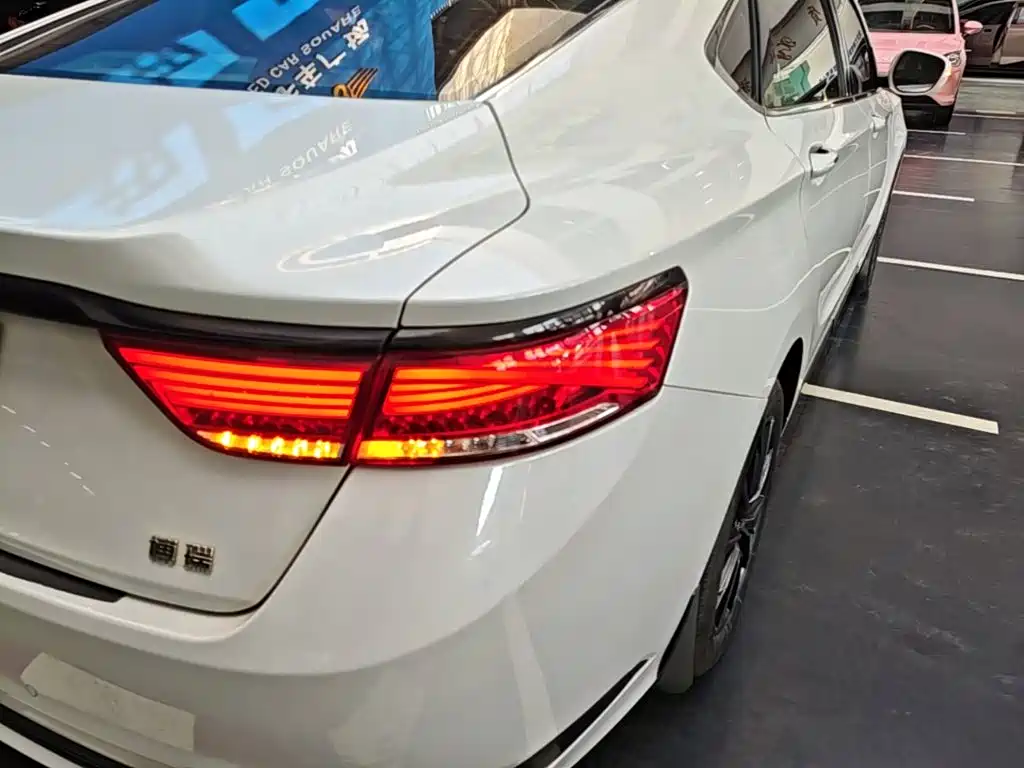 Фото 8 - Geely Borui