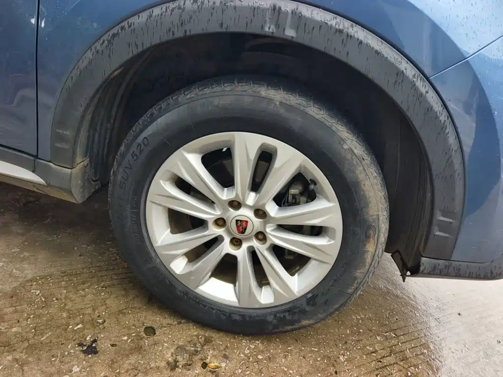 Фото 8 - Roewe RX5
