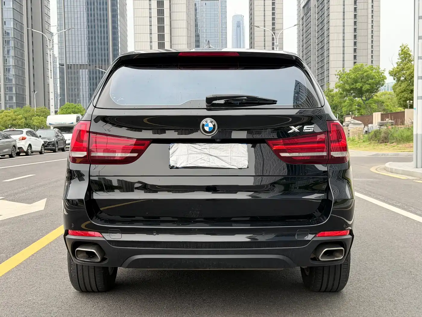 BMW X5 (Import) 2017 xDrive35i Elegance фото 6
