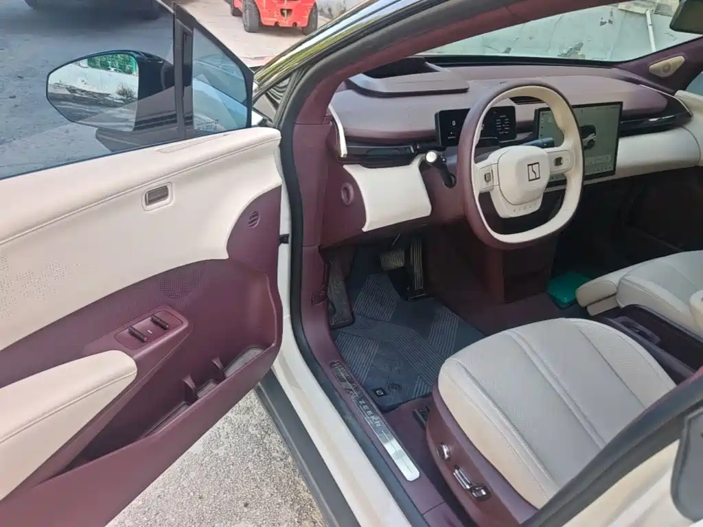 ZEEKR X 2024 2023 AWD YOU Edition 4-Seater