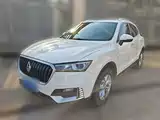 Photo 1 - Borgward BX5