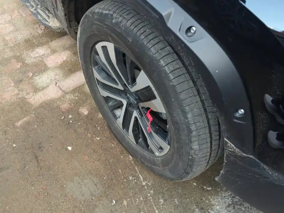 Фото 6 - Haval Menglong PLUS
