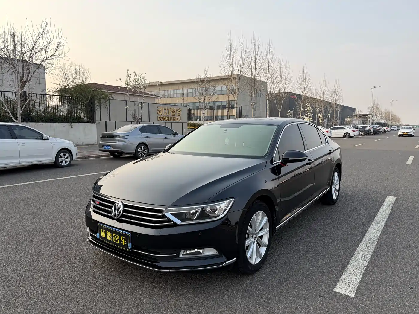 Volkswagen Magotan 2018 330TSI DSG Leading