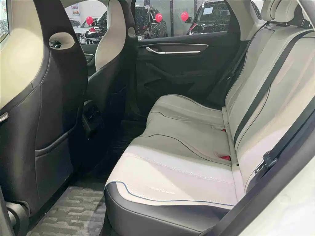 BYD Destroyer 05 2024 Glory Edition DM-i 55KM Luxury фото 9
