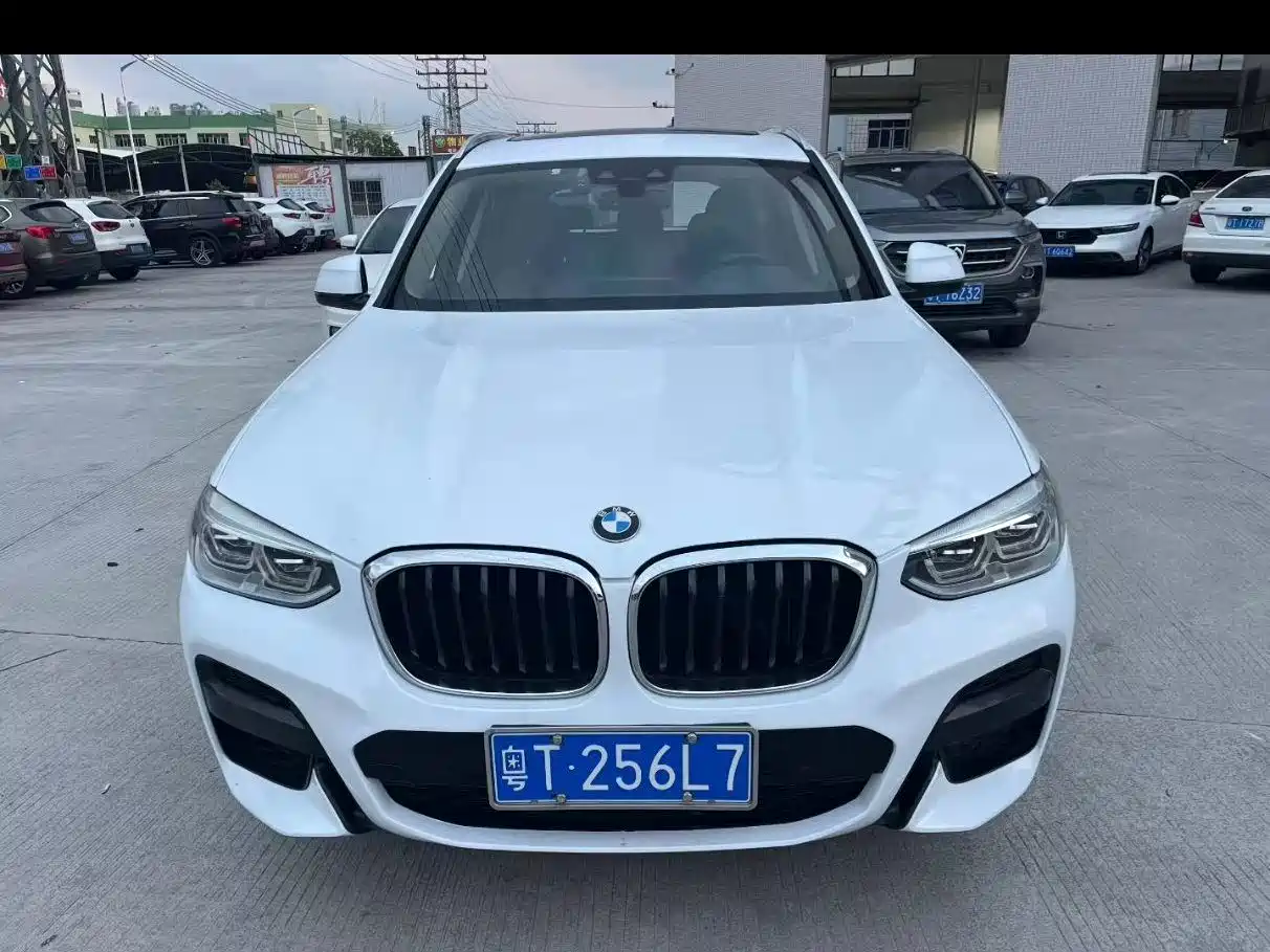 BMW X3 2018 xDrive25i Luxury Package China VI фото 6