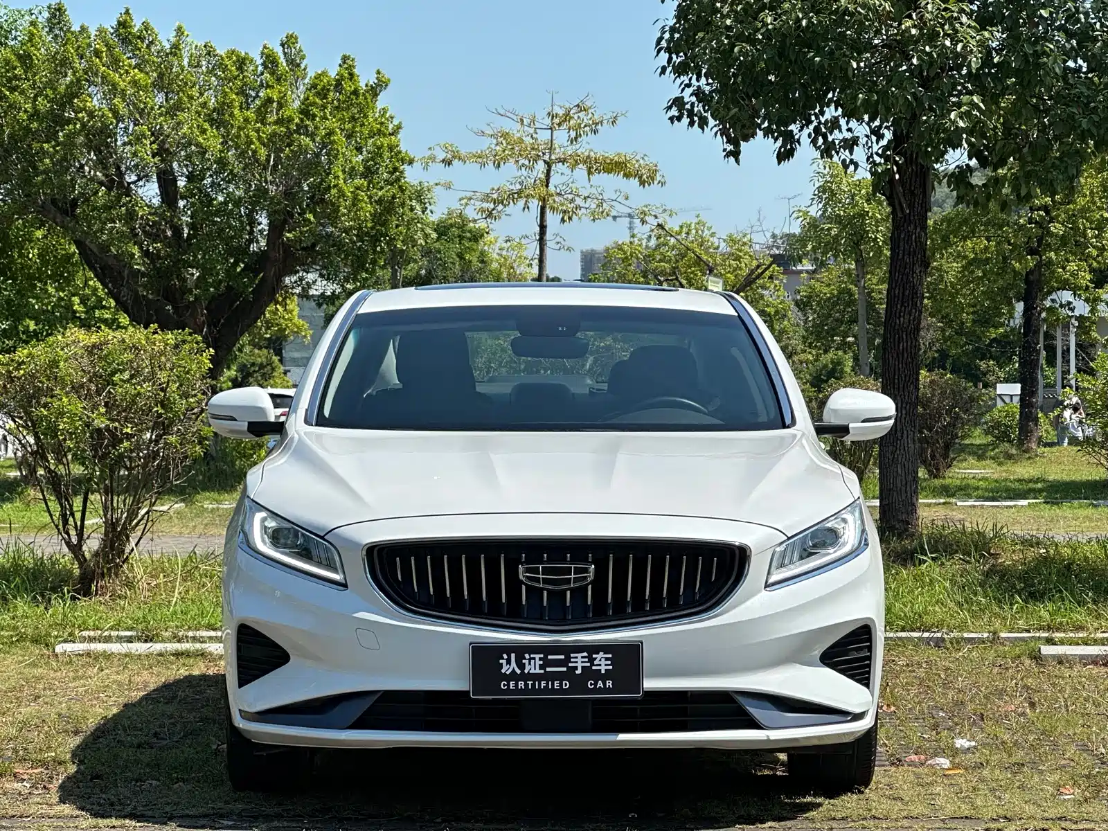 Фото 2 - Geely Borui