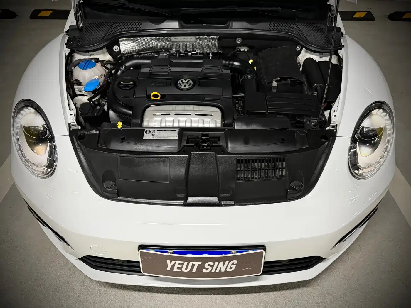 صورة 12 - Volkswagen Beetle