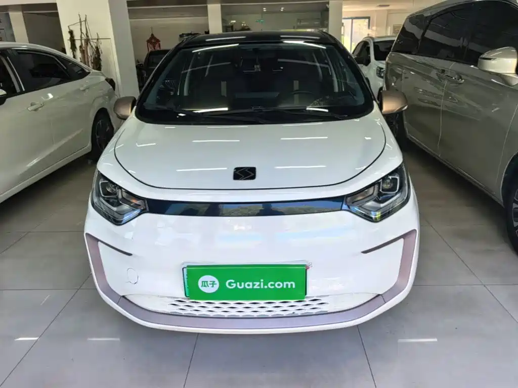 Sehol Flower Fairy 2023 2023 Anniversary Edition 301km Sunflower 36kW
