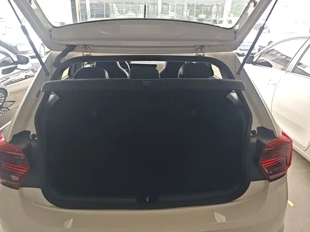 Volkswagen Polo 2021 2019 Plus 1.5L Automatic Colorful Tech Edition