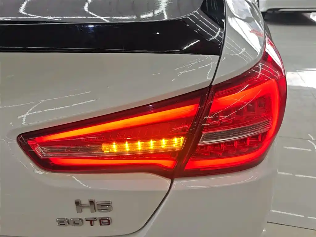 Hongqi H5 2020 1.5T DCT Qi Rhythm Edition фото 8
