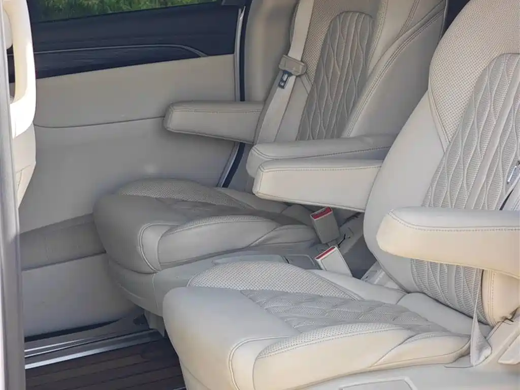 Buick GL8 2021 ES Landlord 653T Premium фото 8