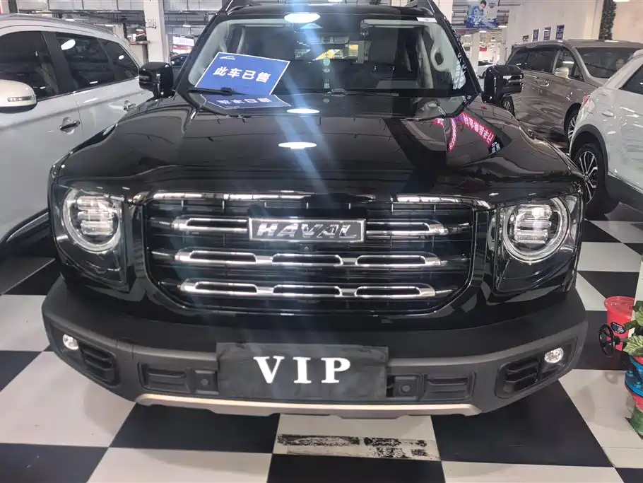 HAVAL BIG DOG