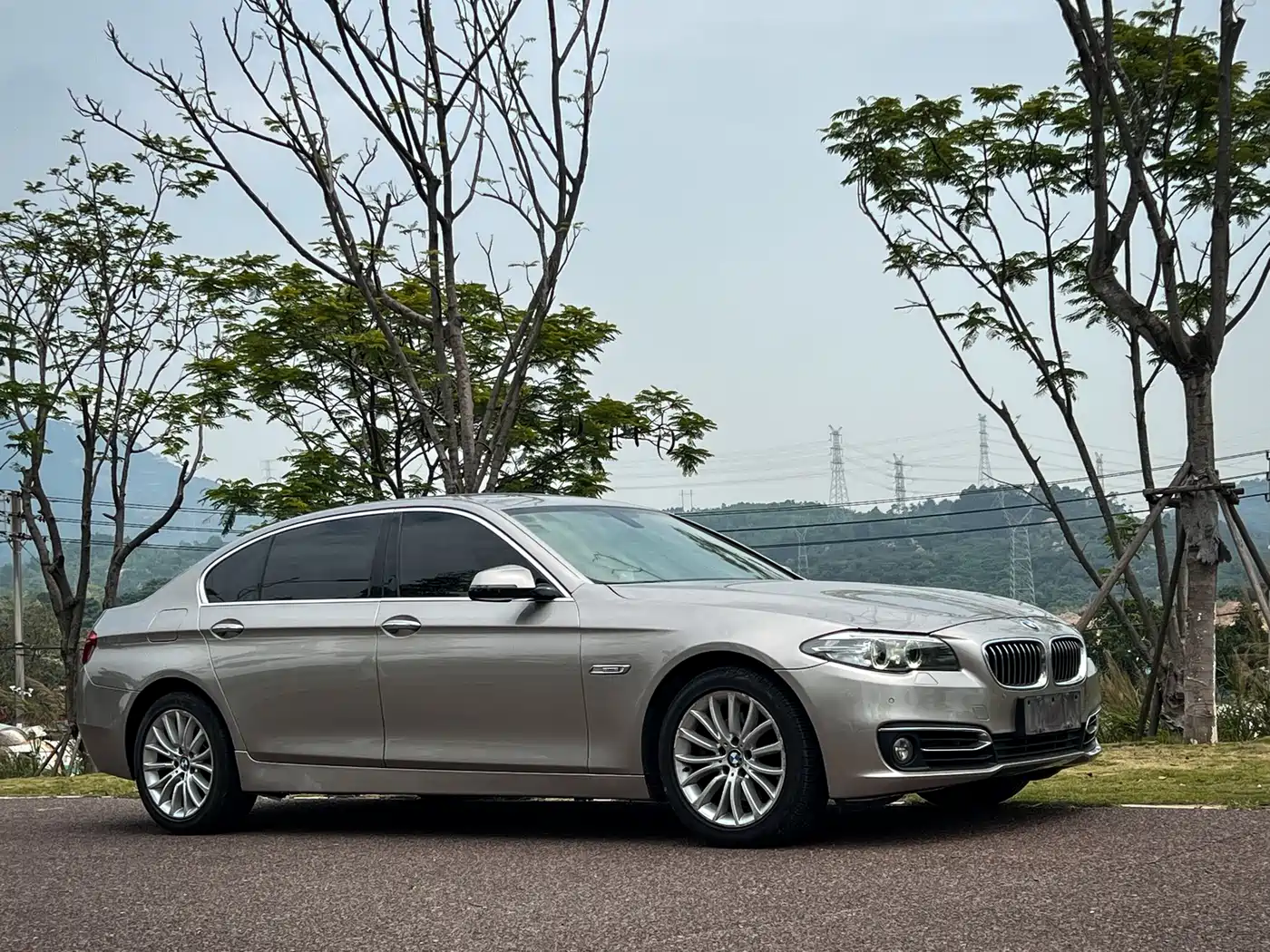 BMW 5 Series 2014 525Li Luxury Design Package фото 3