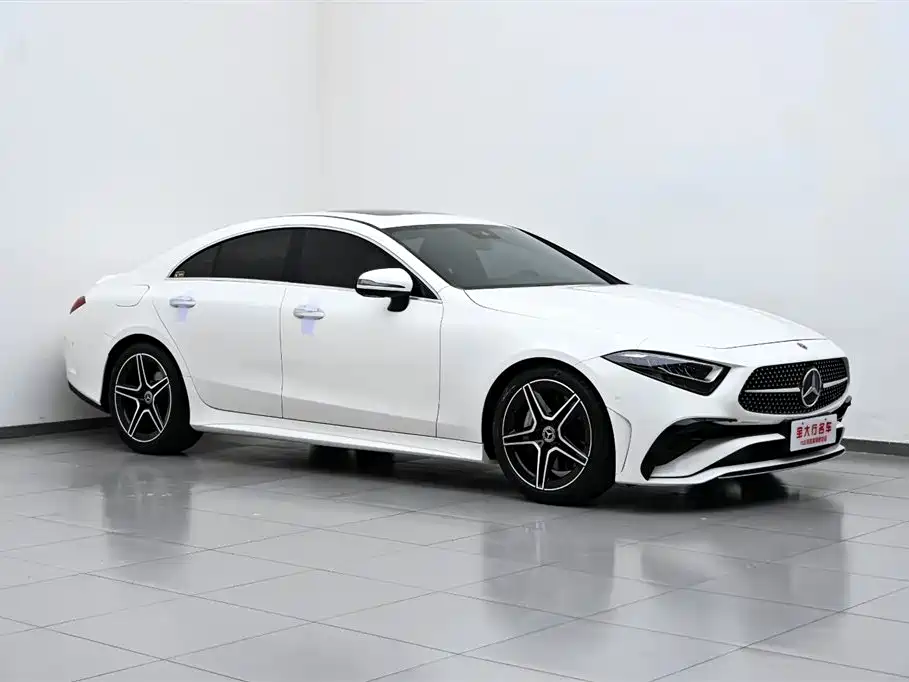 Mercedes-Benz CLS 2022 CLS 300 Luxury фото 4