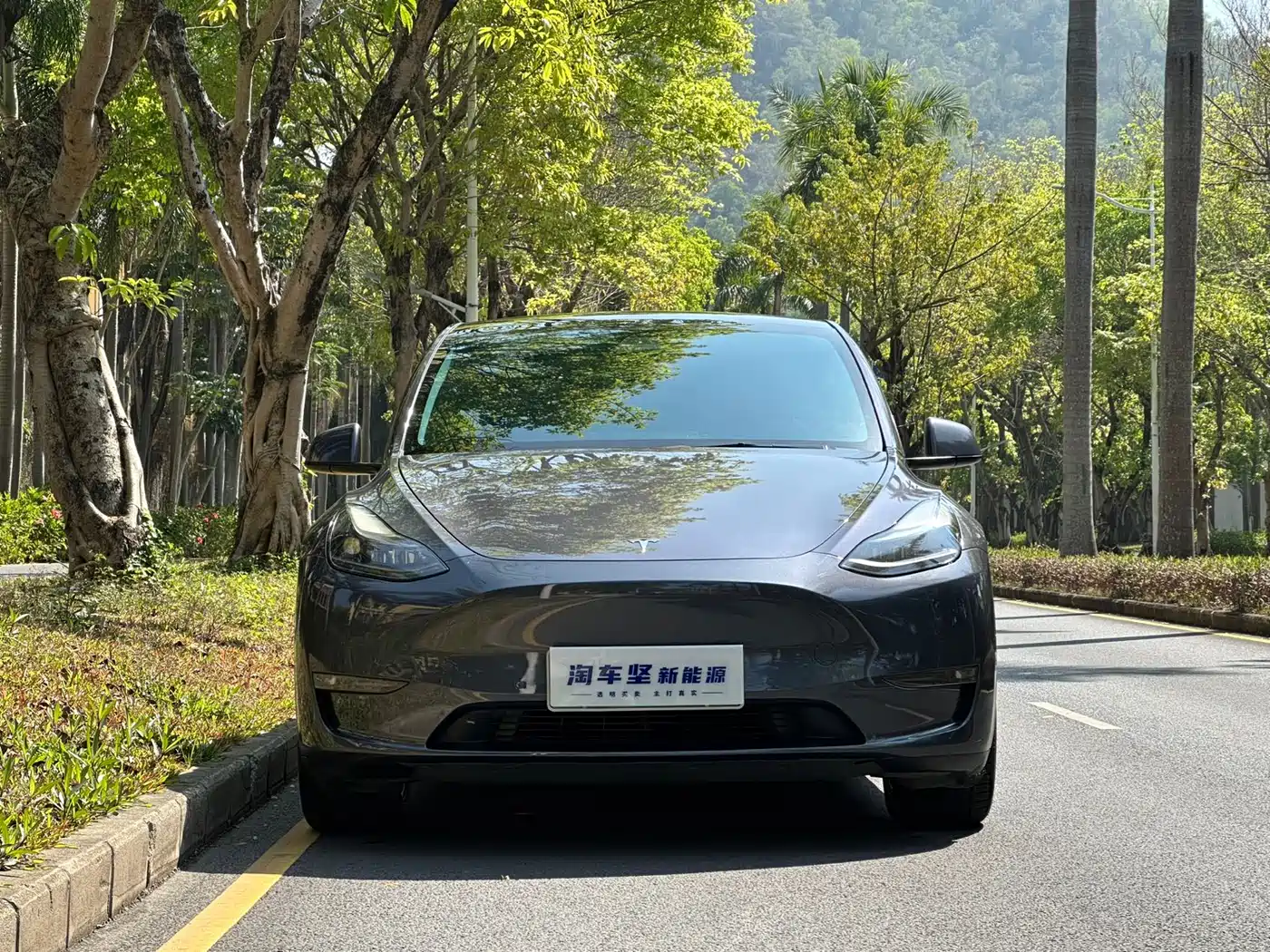 TESLA MODEL Y