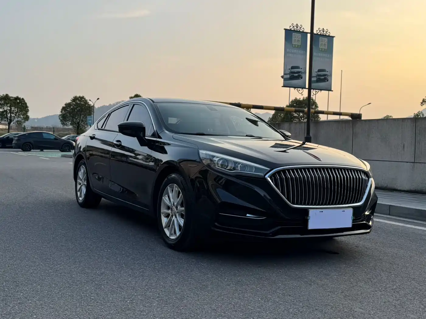 Hongqi H5 2019 30TD Style Edition фото 3