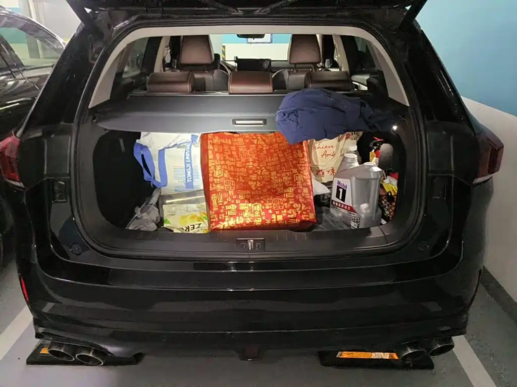 Photo 5 - WEY VV6