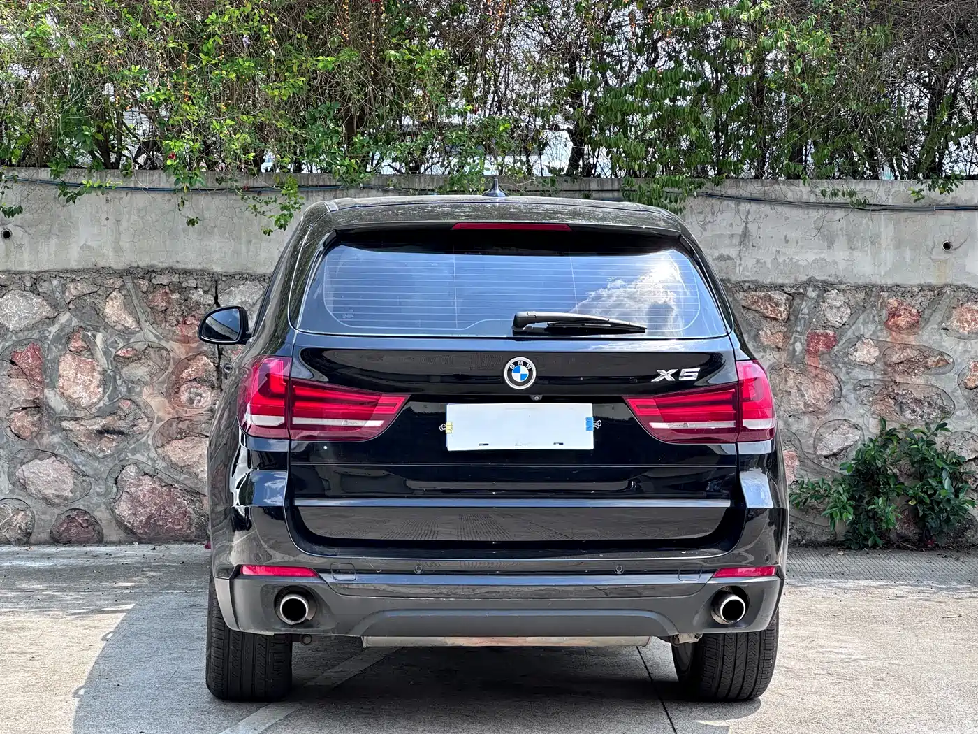 BMW X5 (Import) 2014 xDrive35i Leading фото 4