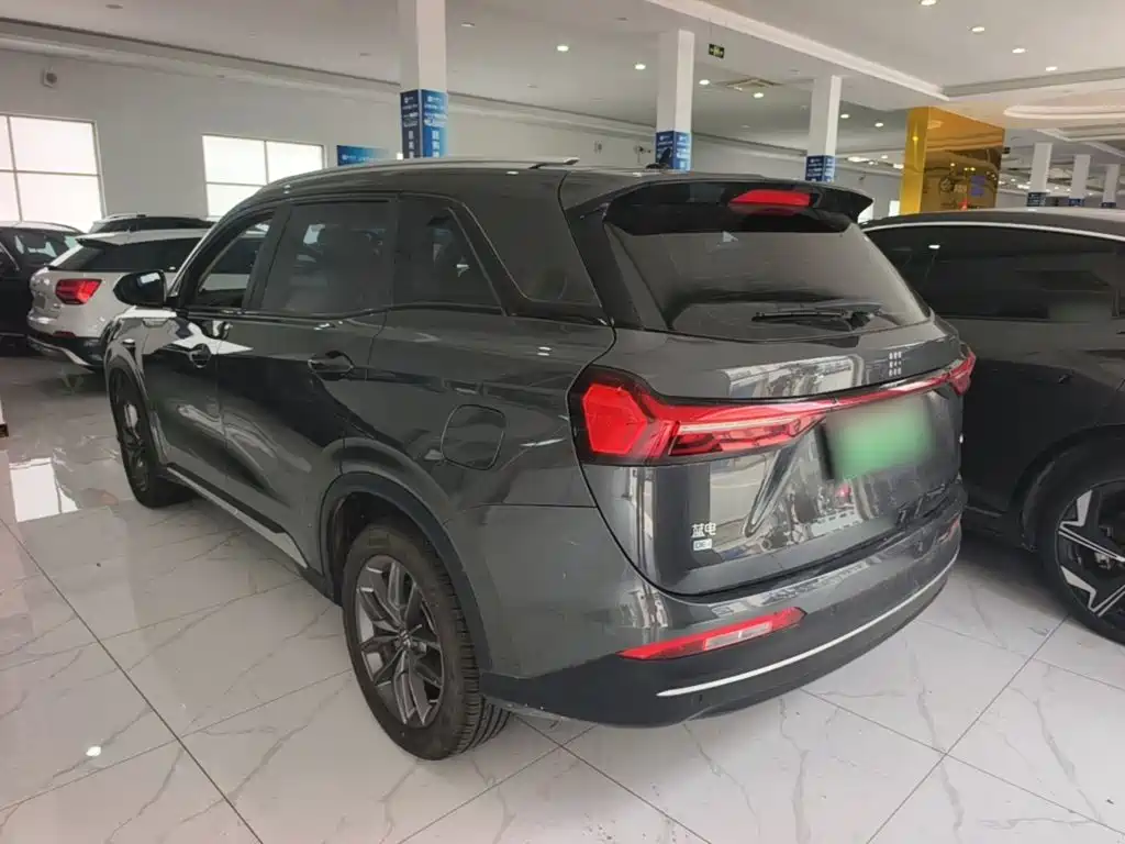 Landian E5 2024 2024 Glory Edition 100KM Comfort Type 7-Seater
