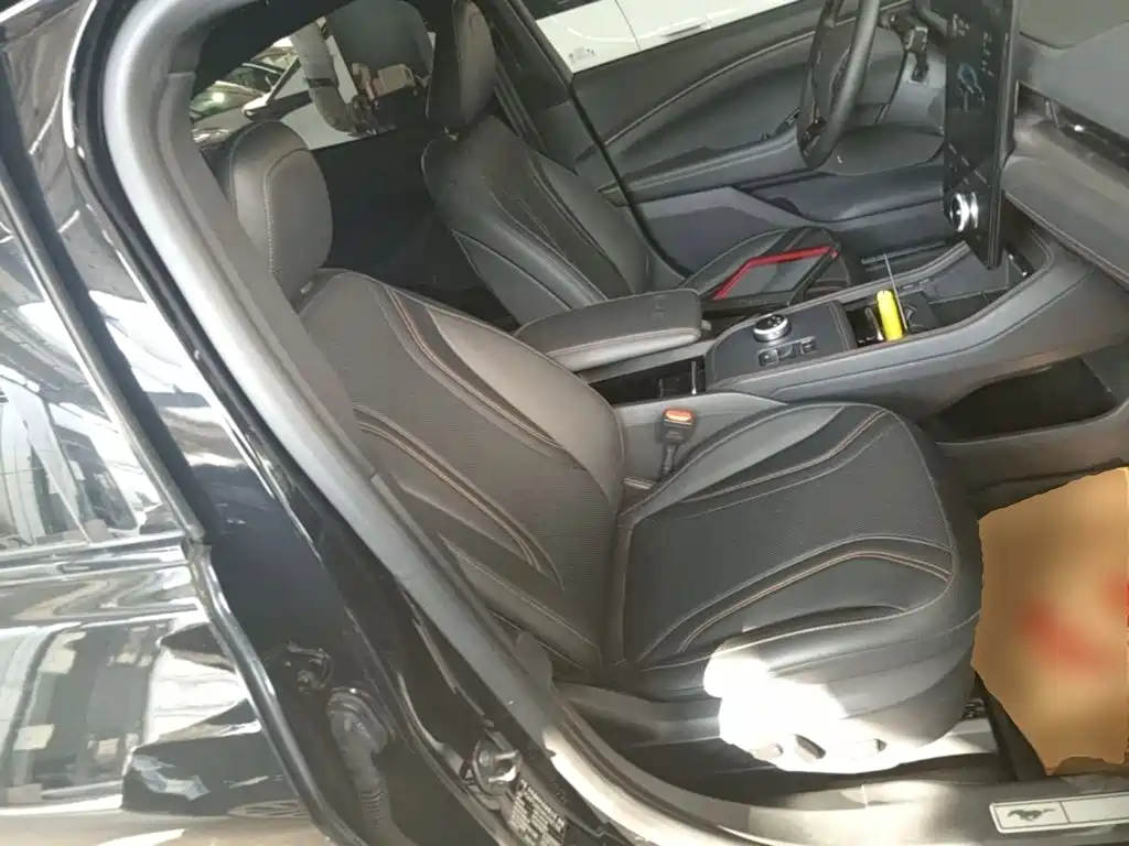 Ford Mustang Mach-E 2022 2021 GT